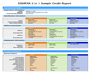 Credit Report