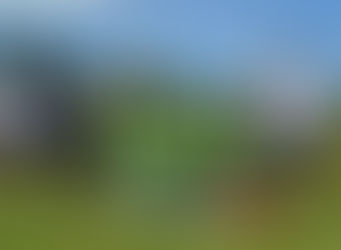 Escolinha se destaca em competições de futebol infantil