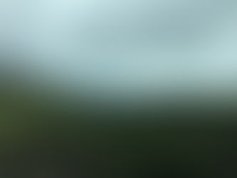 The green children of woolpit