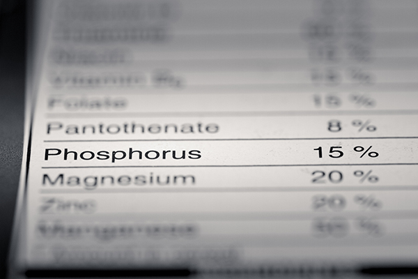 stella and chewy phosphorus