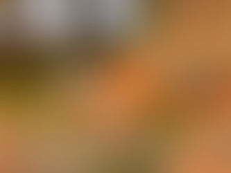November 2019 Grey Matters