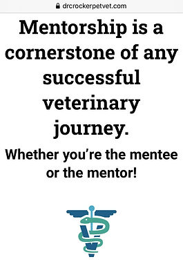 Mentorship: why people stay and go