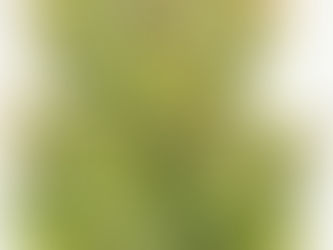 Jagar Vidyadhishacha 2