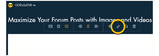 How to link Images and Videos in Wix Forums on the Easy Company 506th PIR Website.
