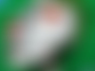 O PRESIDENTE E O PICADEIRO