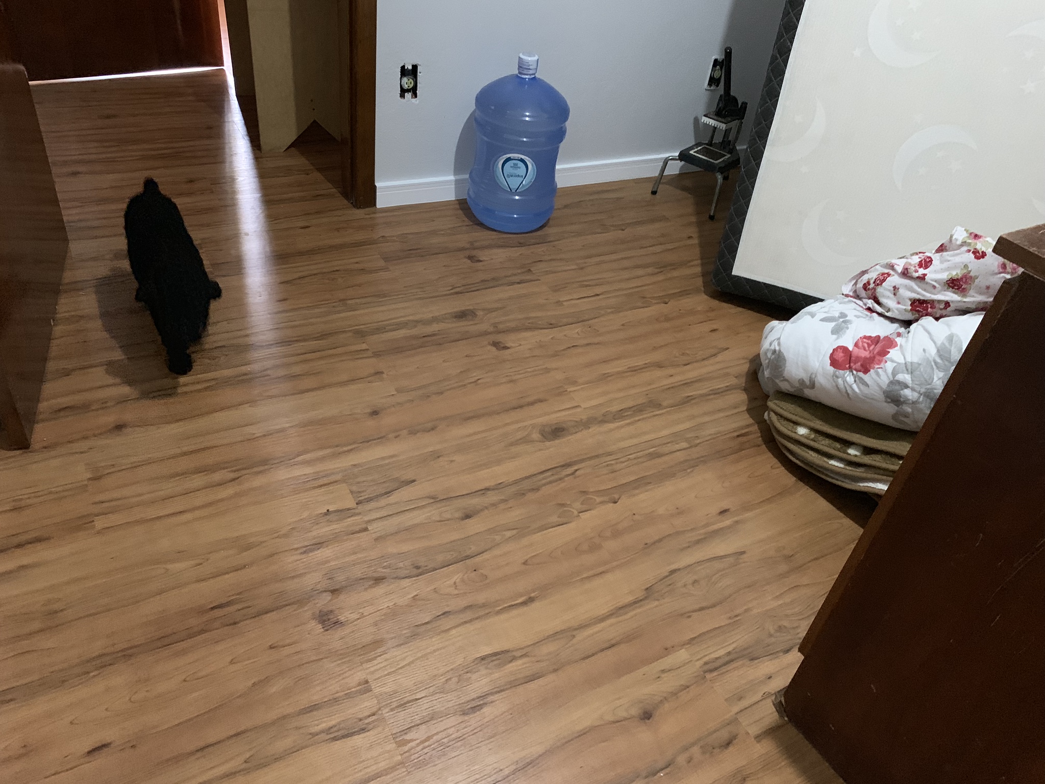 Piso de PVC - Carvalho Turim — foto 4
