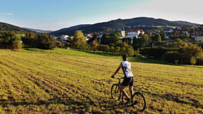 #mywayhome - Jiří Dohnal