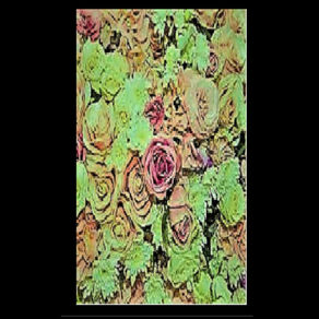 Releases of the day : May 04, 2020