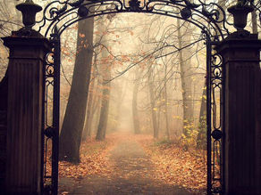 INTERVIEW par Eric Le Parc