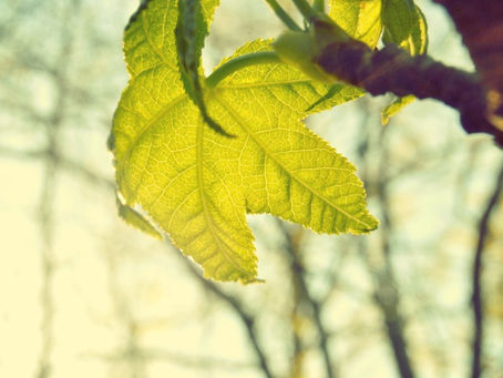 当有人告诉我TA想自杀