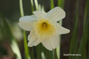 Life with the Zoom Lens On - Let's Focus on Love