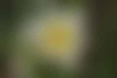 Life with the Zoom Lens On - Let's Focus on Love