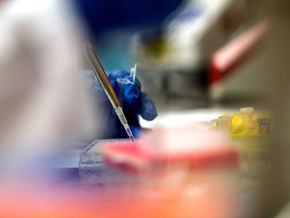 Las preguntas clave sobre inmunidad que la ciencia todavía no pudo responder sobre el coronavirus