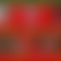 Armazém Paraíba #divulgaçãoJoãoDourado