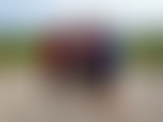 The Documentary is a go!