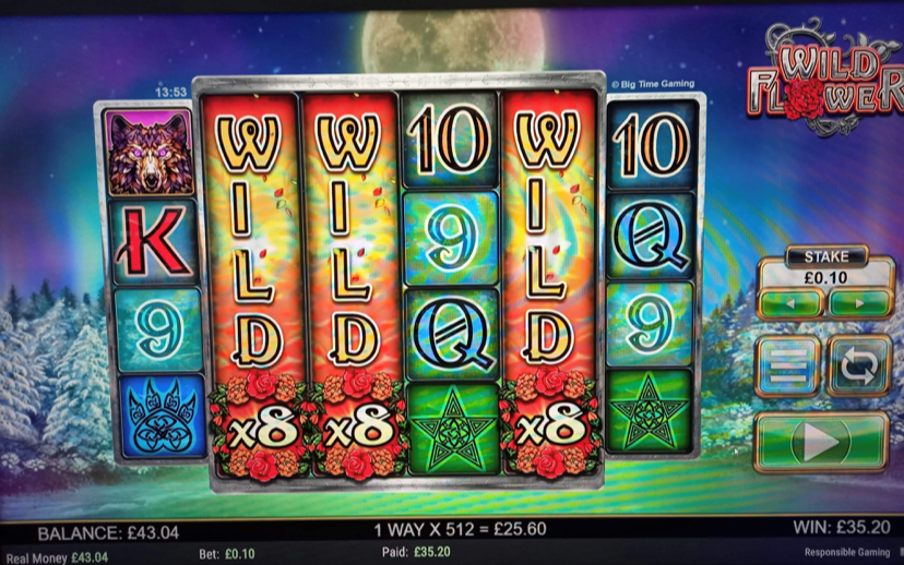 Wild Flower Three 8x reels content media