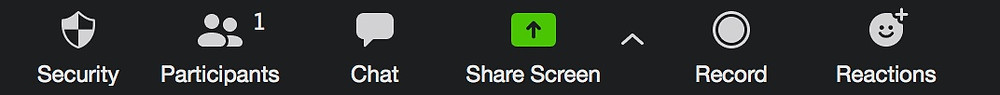 Zoom Menu Bar Showing Record Button