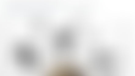 El Principio Non bis in idem