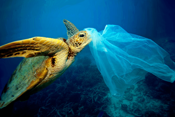 O Lixo nos Oceanos