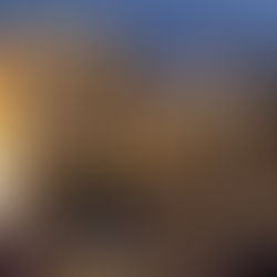 라스베가스 여행 한식당 맛집 찾기 총정리!