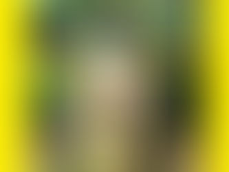 ごめんなさい・ありがとう・・ その一言の難しさ
