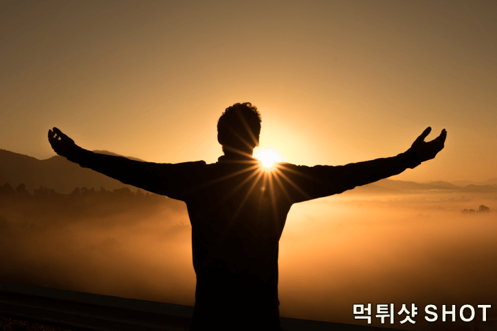 먹튀검증 - 토토사이트 - 먹튀검증업체 - 먹튀샷