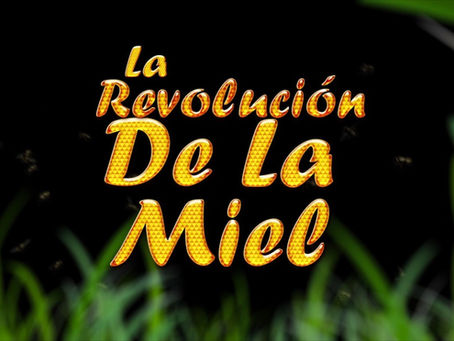 Telecaribe gana Premio de Periodismo Nacional CPB 