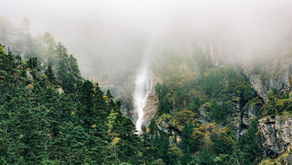 "Green will be the new profit"... China's zero carbon footprint by 2060