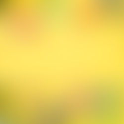 3 Secrets To Staying Sane As A Stay At Home Mom
