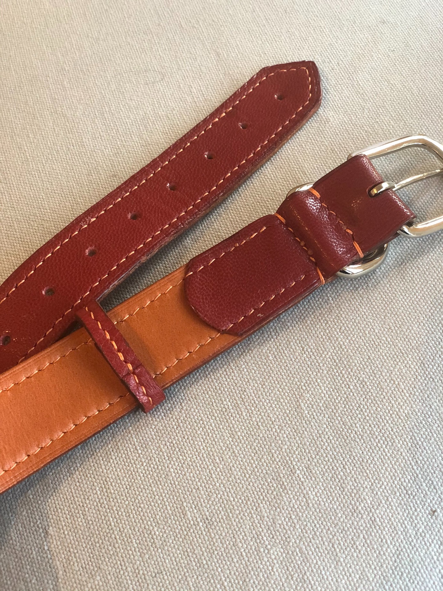 Basic dog collar 🐶 content media