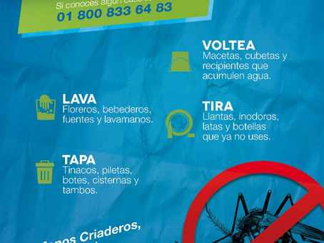 Campaña de Prevención contra el Dengue