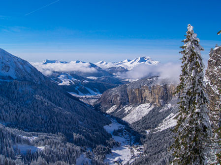 Mountain Biking tours ON SNOW?!
