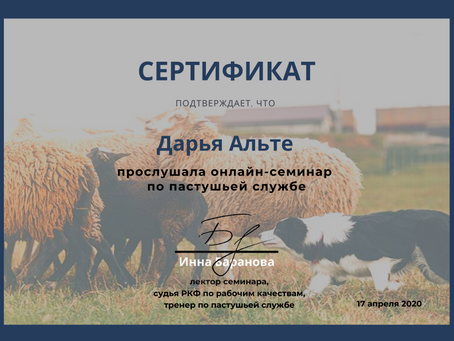 Herding Seminar