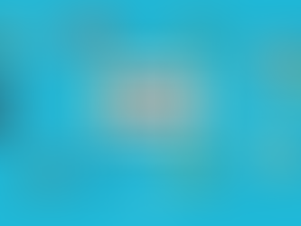 What is SEO?