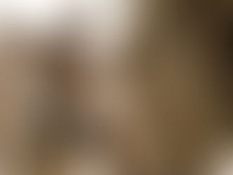 Disney's Animal Kingdom welcomes two baby animals as 2020 kicks off