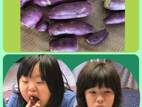 蒸かし芋