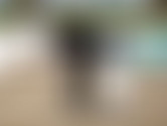 Congratulations to our Mares