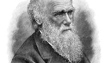 Por que Charles Darwin pode ter sido um dos maiores economistas da história