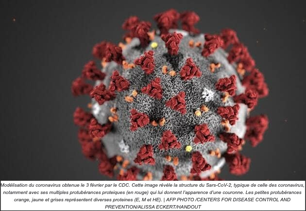 Modélisation du coronavirus obtenue le 3 février par le CDC. Cette image révèle la structure du Sars-CoV-2, typique de celle des coronavirus, notamment avec ses multiples protubérances proteiques (en rouge) qui lui donnent l’apparence d’une couronne. Les petites protubérances orange, jaune et grises représentent diverses proteines (E, M et HE). | AFP PHOTO /CENTERS FOR DISEASE CONTROL AND PREVENTION/ALISSA ECKERT/HANDOUT