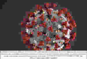 Modélisation du coronavirus obtenue le 3 février par le CDC. Cette image révèle la structure du Sars-CoV-2, typique de celle des coronavirus, notamment avec ses multiples protubérances proteiques (en rouge) qui lui donnent l’apparence d’une couronne. Les petites protubérances orange, jaune et grises représentent diverses proteines (E, M et HE). | AFP PHOTO /CENTERS FOR DISEASE CONTROL AND PREVENTION/ALISSA ECKERT/HANDOUT