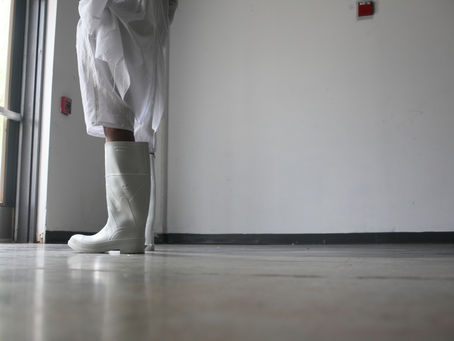 "...i was here first!" summer2020collection 