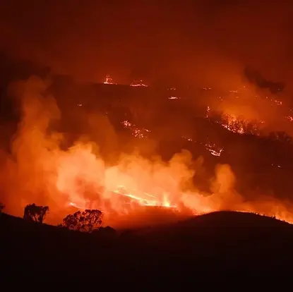 Fires in Australia Will Cause Increase in CO2 Level
