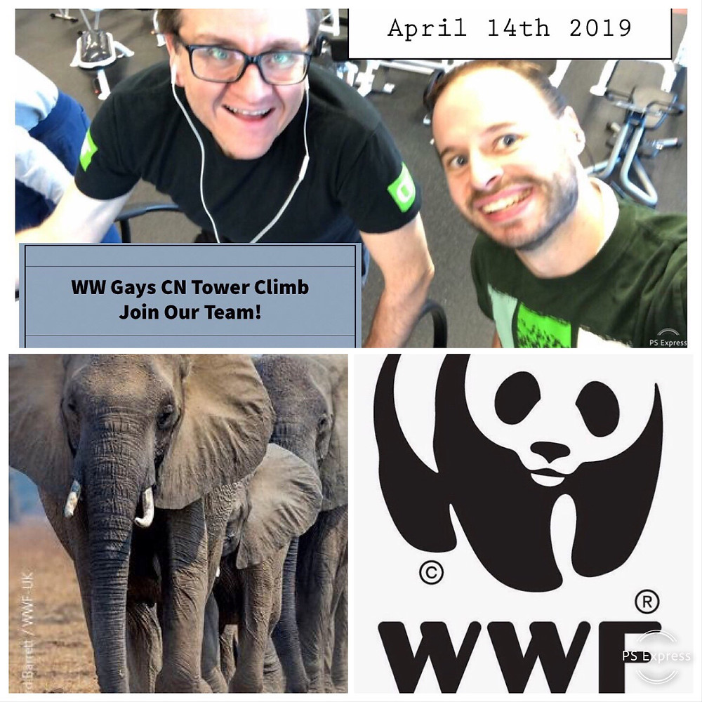 CN Tower Climb for WWF April 14th