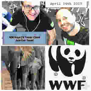 CN Tower Climb for WWF April 14th