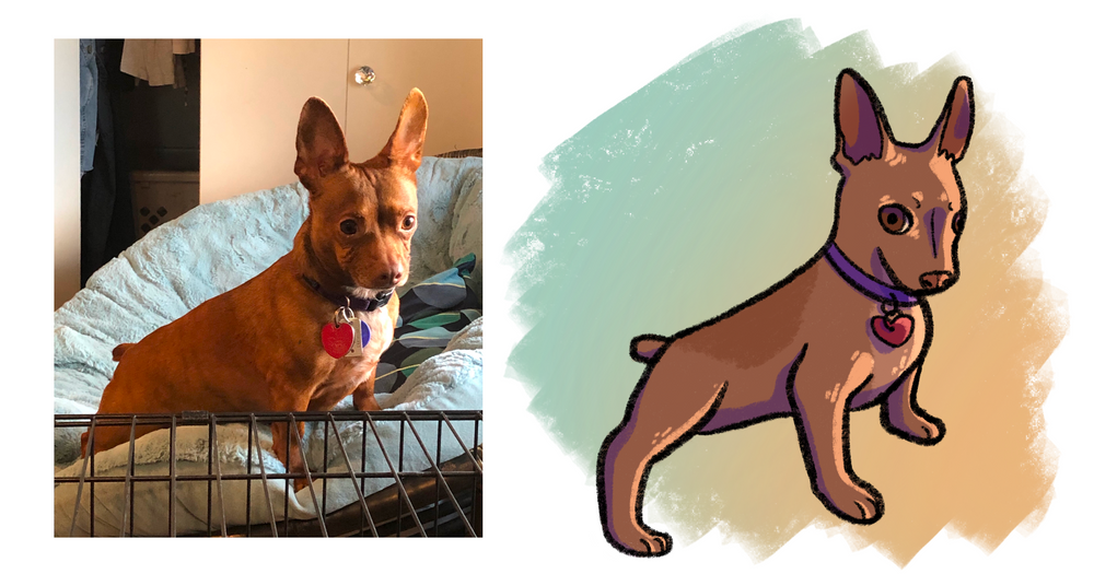How To Draw Your Dog