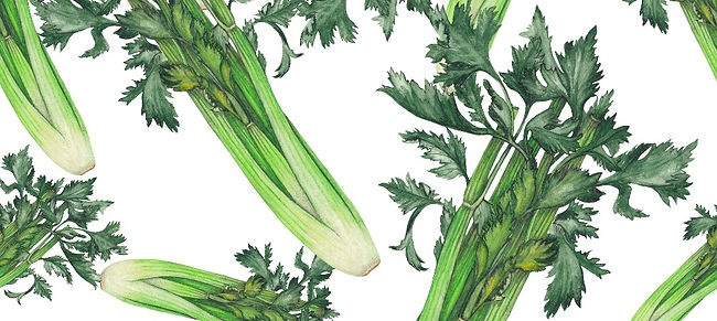10 Things You Didn’t Know About Celery