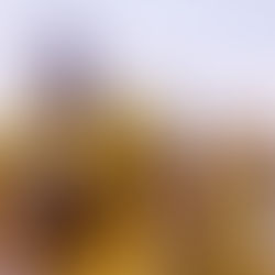 Brett Malamphy: overcoming adversity and thriving for SU men's lacrosse