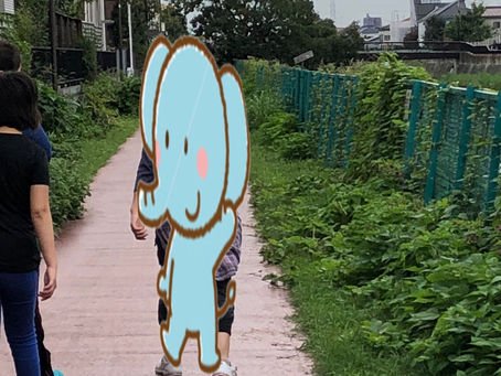 すいかくん