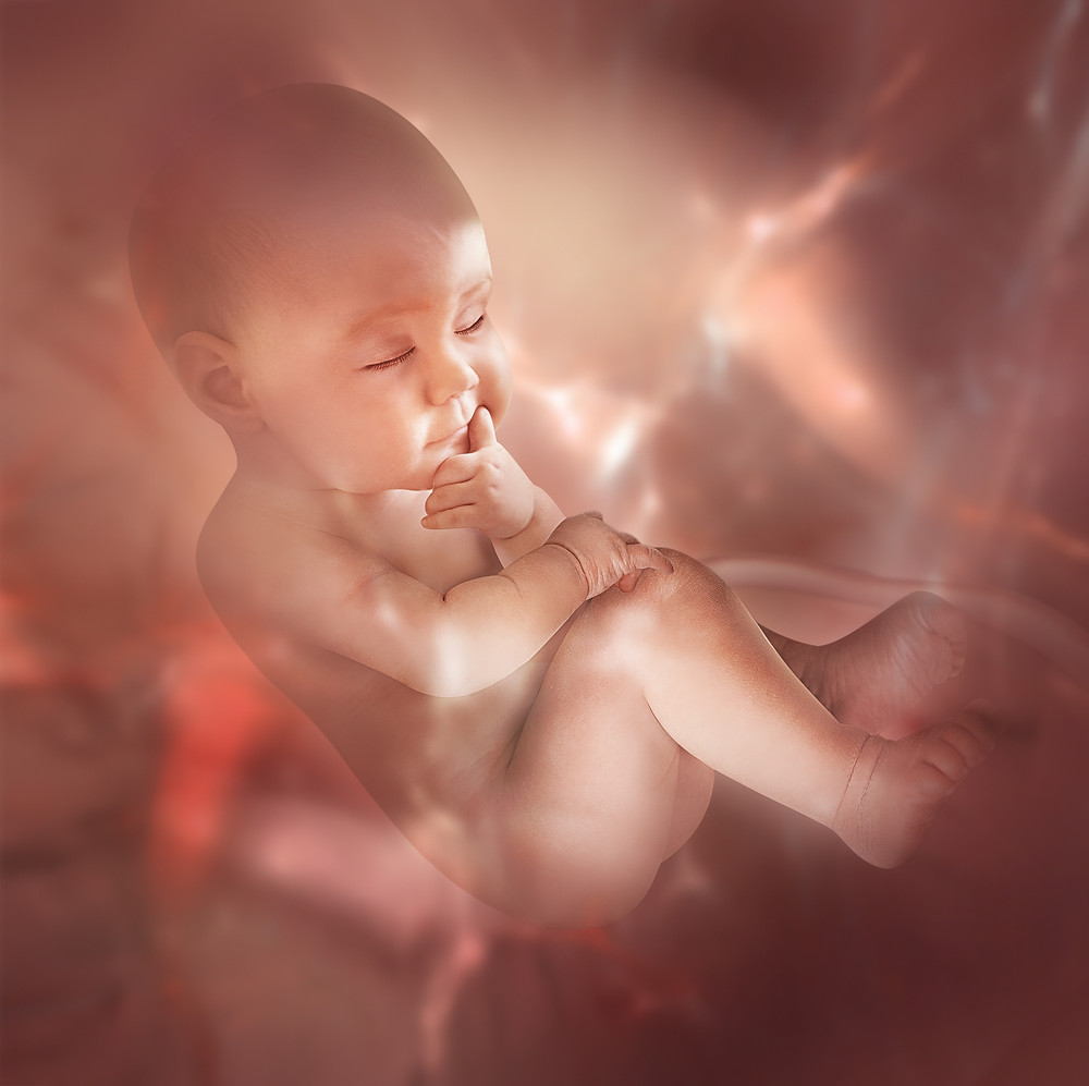 bébés ogm science génétique