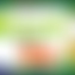 POKEMON KOKO YA TIENE FECHA DE ESTRENO.